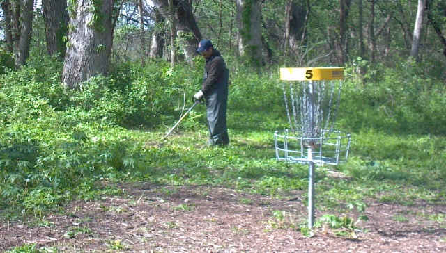 disc golf