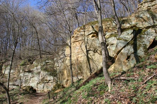Wildcat Den Trails